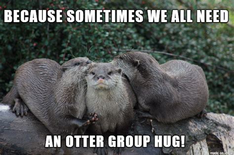 An otter group hug Otter Meme | Otters, Otter meme, Memes