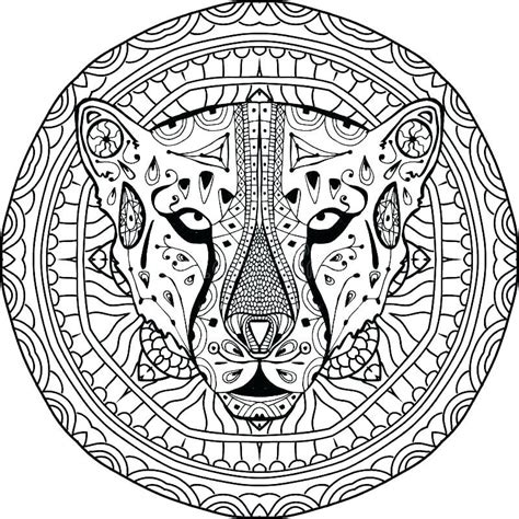 Free Printable Online Cheetah Coloring Pages | Cheetah drawing, Coloring pages, Animal coloring ...