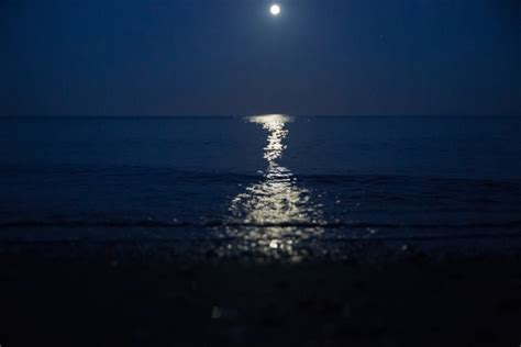 Moon Reflection On Sea Free Stock Photo - Public Domain Pictures