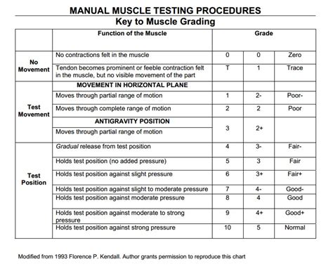 Grade 5 Muscle Strength Chart