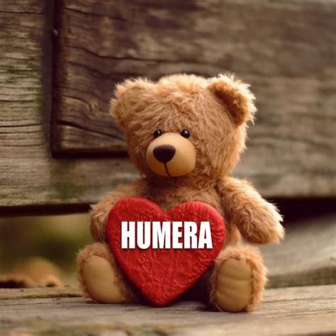 40+ Humera Name Dp Pictures For Girls Profile