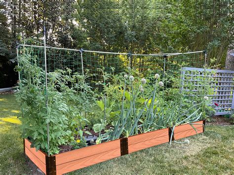 4' x 12' Raised Garden Bed with Trellis – Frame It All