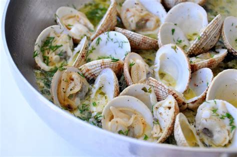 Cooking Clams with White Sauce Stock Photo - Image of aromatic, dill: 22087630