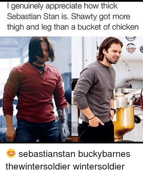 Image result for sebastian stan memes | Sebastian stan, Sebastian stan ...