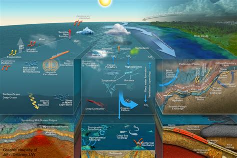 Oceanography Merit Badge ONLINE