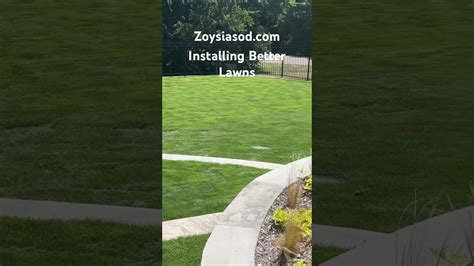 You Deserve The Best Lawn. See What Zeon Zoysia Looks Like Zoysia Lawn. #zoysia