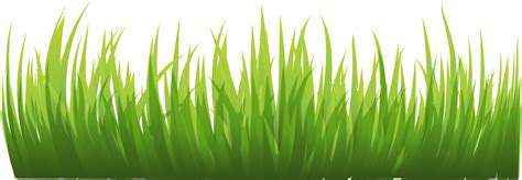 Free Grass Transparent Png, Download Free Grass Transparent Png png images, Free ClipArts on ...