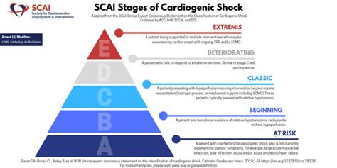 SCAI Stages of Cardiogenic Sho [IMAGE] | EurekAlert! Science News Releases