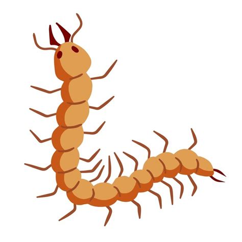 2+ Thousand Centipede Cartoon Royalty-Free Images, Stock Photos & Pictures | Shutterstock