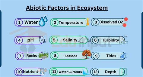 25 Examples of Abiotic Factors in Ecosystem