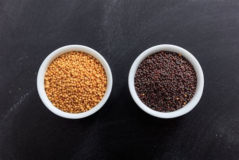 Yellow Mustard Seeds Vs. Black Mustard Seeds: SPICEography Showdown