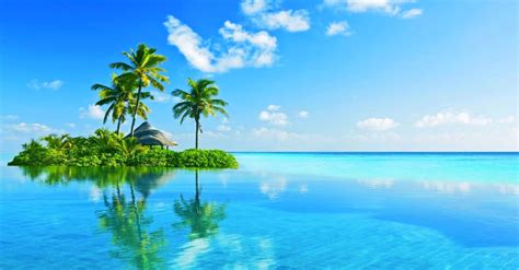 Download Island Palm Tree Horizon Turquoise Sea Ocean Tropical Man Made Resort HD Wallpaper