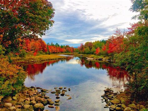 Lovely Fall at Acadia National Park, Bar Harbor Maine. | Autumn scenery, Beautiful nature ...