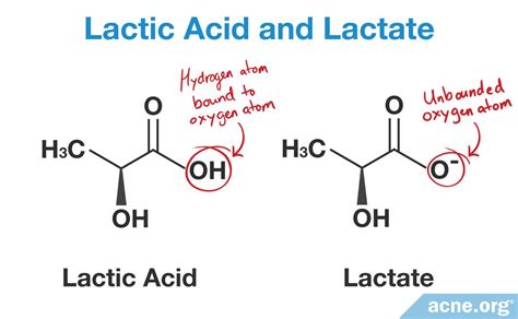 What Are the Chemical Structure of Lactic Acid and Lactate and How Is Lactic Acid Made? - Acne.org