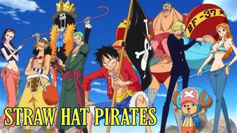 All straw Hat Pirates | crew members joining | one piece characters #luffy crew #onepiece # ...