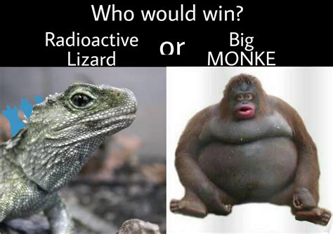 Another Big MONKE meme : r/memes