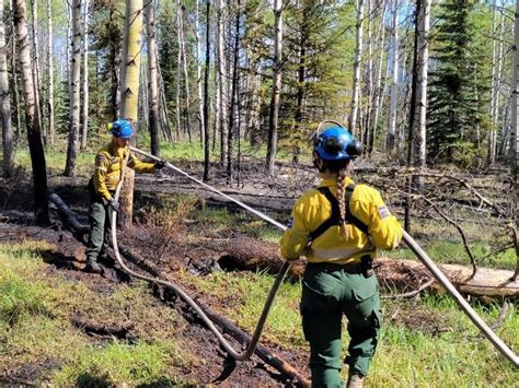 A look back at the 2023 wildfire season - Jasper Fitzhugh News