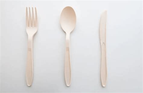 Green Science Alliance Makes Biodegradable Cutlery Using Plastic Waste