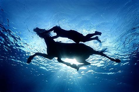 North Horse: Water & Horses: Do Not Mix