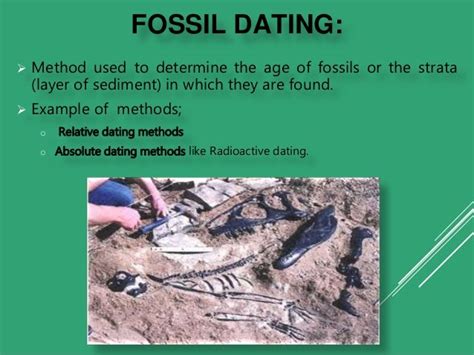 Relative dating and absolute dating of fossils | Explain why both relative dating and absolute ...