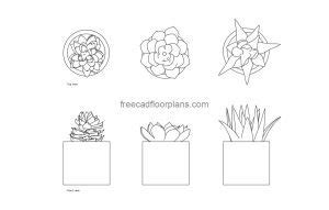 Succulents Decor - Free CAD Drawings