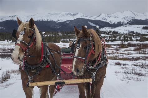 SLEIGH RIDE PHOTOS – Breckenridge Stables