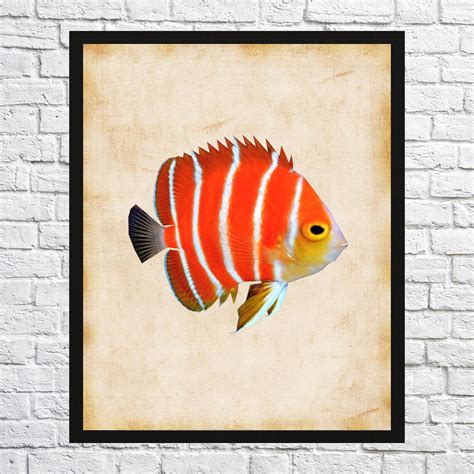 Fish Wall Art Fish Wall Decor Fish Wall Hanging Fish Wall - Etsy