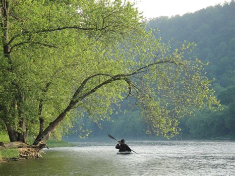 Allegheny River in Tionesta | Visit PA Great Outdoors