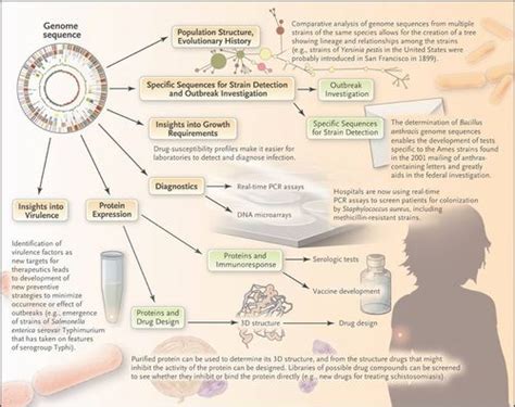 Small Things Considered: Fine Reading: Microbial Genomics and ...