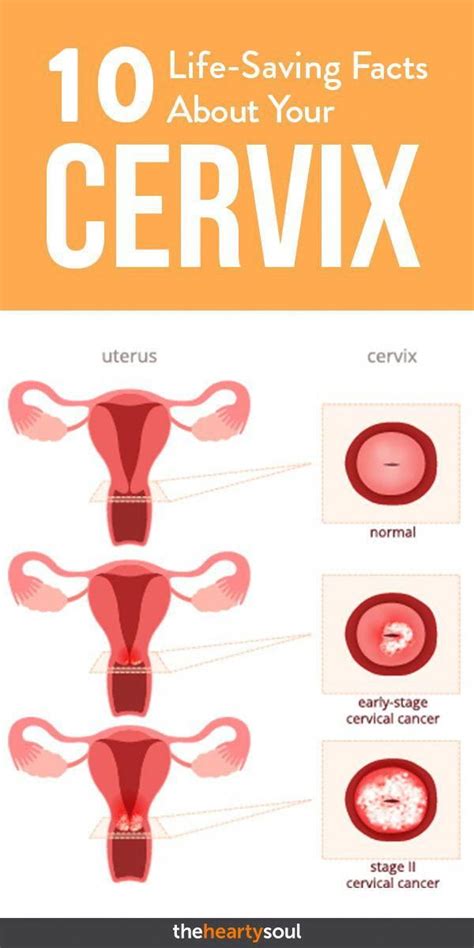 View Cervix Hurt After Sex News - ALTYAZILI PORNO