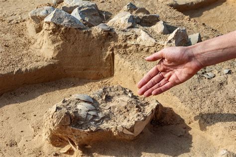 Ancient ostrich eggs found in southern Israeli desert