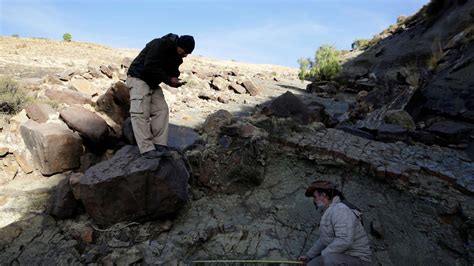 Giant Dinosaur Footprint Found In Bolivia | World News | Sky News