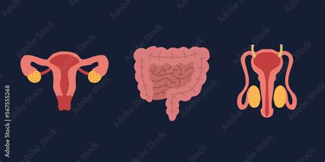 Human Internal Organs Cartoon Anatomy Body Parts Inte - vrogue.co