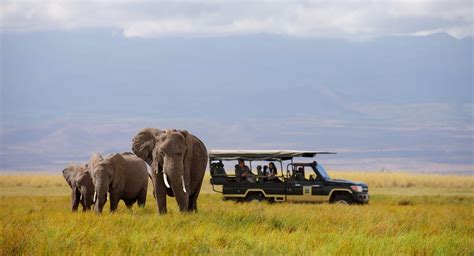 Elephant Safari In Amboseli | Best Kenya Safari Experiences | Art Of Safari