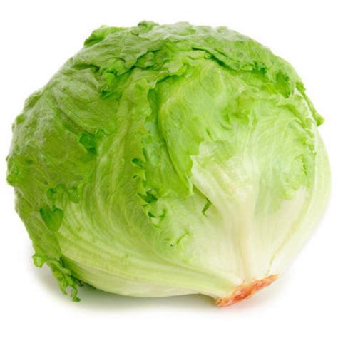 Iceberg Lettuce