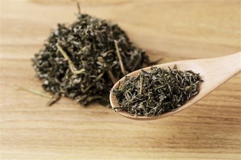 Mugwort Tea Benefits, Side Effects, Taste, Dosage & More