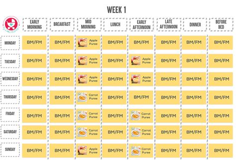 0 To 6 Months Baby Food Chart