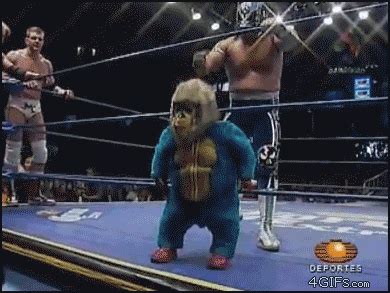 Pro Wrestling GIF - Find & Share on GIPHY