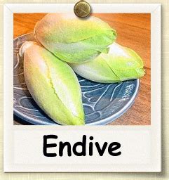 How to Grow Endive | Guide to Growing Endive | Endive, Growing lettuce, Growing