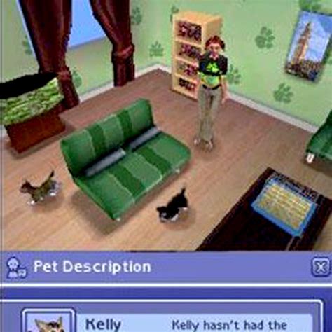 The Sims 2: Apartment Pets Nintendo DS Game | PJ's Games