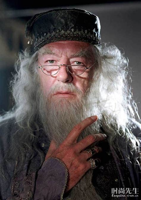 Pin by Kıvılcım Er on FİLM / DİZİ | Albus dumbledore harry potter, Albus dumbledore, Harry ...