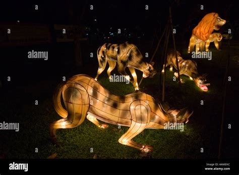 Singapore Zoo Night Safari Illuminated animals at the entrance Hyena ...