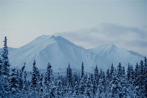 The Stories of Canada - Yukon Territory | Entrée Destinations