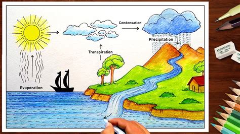 Ideal Info About How To Draw The Water Cycle - Springwitness