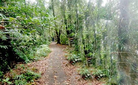 Kumarakom Bird Sanctuary: Timings, Entry Fee, Activities, Booking