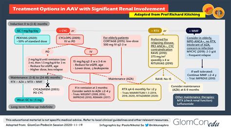 ANCA Associated Vasculitis Treatment Infographic – GlomCon (pubs)