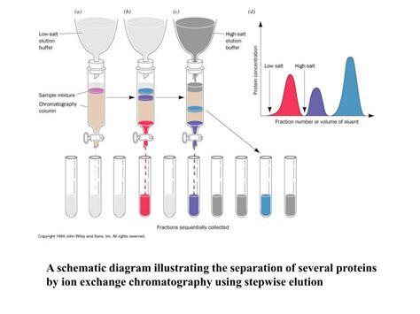 PPT - Techniques of Protein Purification PowerPoint Presentation, free download - ID:342073