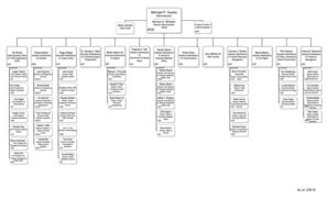 Faa Organizational Chart - Fill and Sign Printable Template Online