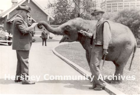 A Window to the World: Hershey Park Zoo – Hershey Community Archives