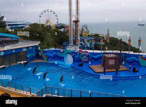 CHINA HONG KONG Ocean Park aquarium dolphin show Stock Photo, Royalty ...